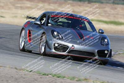 media/May-03-2024-PCA Central Coast (Fri) [[eaa7da0ee1]]/Yellow Group/Session 1 (Grapevine)/